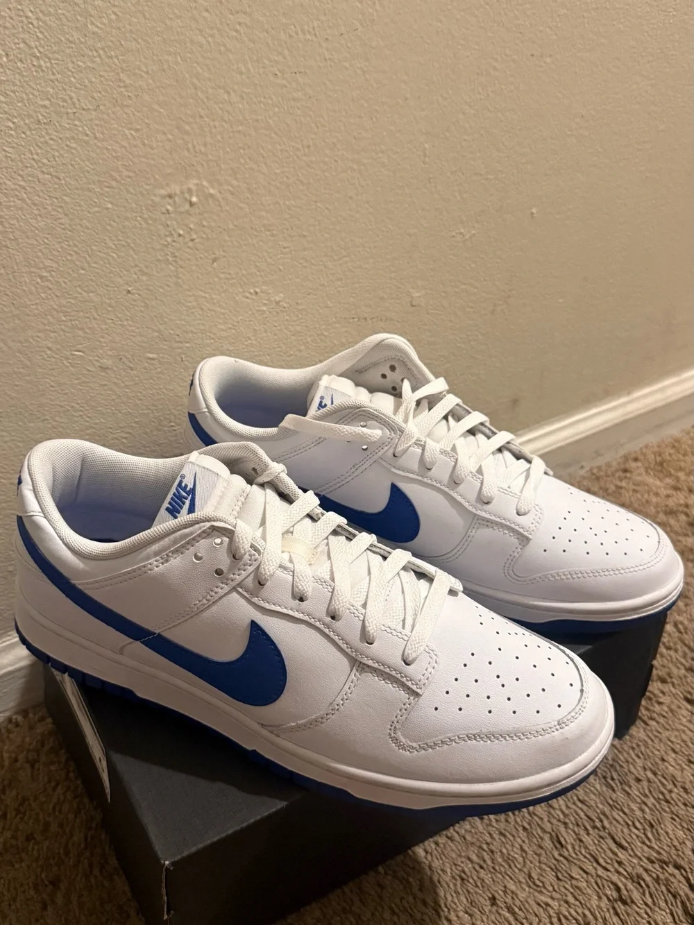 Nike White and Blue Low-Top Athletic Sneakers